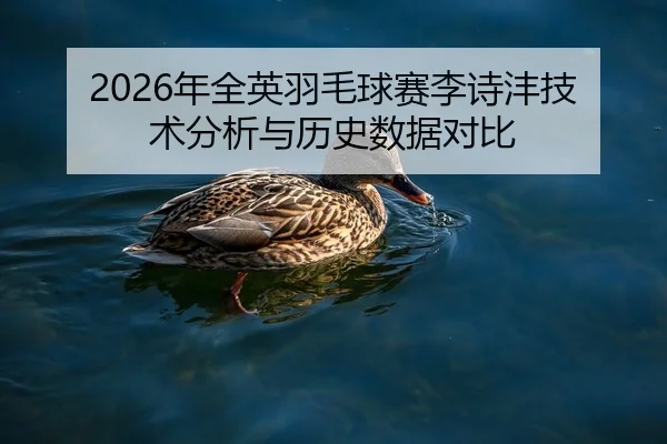 2026年全英羽毛球赛李诗沣技术分析与历史数据对比