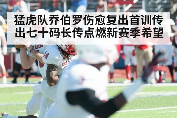 quarterback throwing football