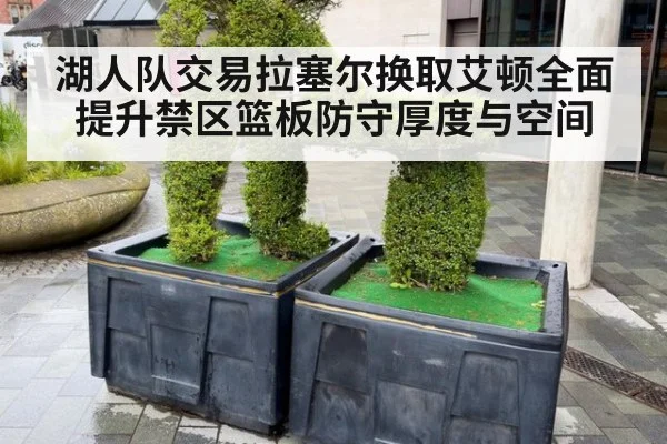 湖人队交易拉塞尔换取艾顿全面提升禁区篮板防守厚度与空间