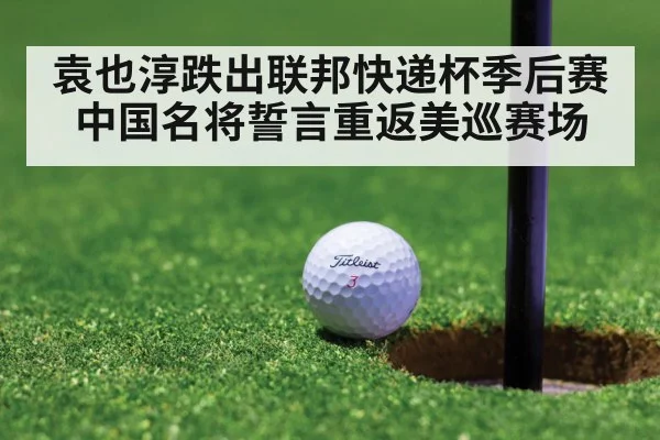 袁也淳跌出联邦快递杯季后赛中国名将誓言重返美巡赛场